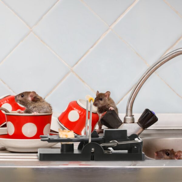 Lot de 6 Pièges à Souris et Rats Réutilisables – Pièges Mécaniques Puissants Anti-Rongeurs
